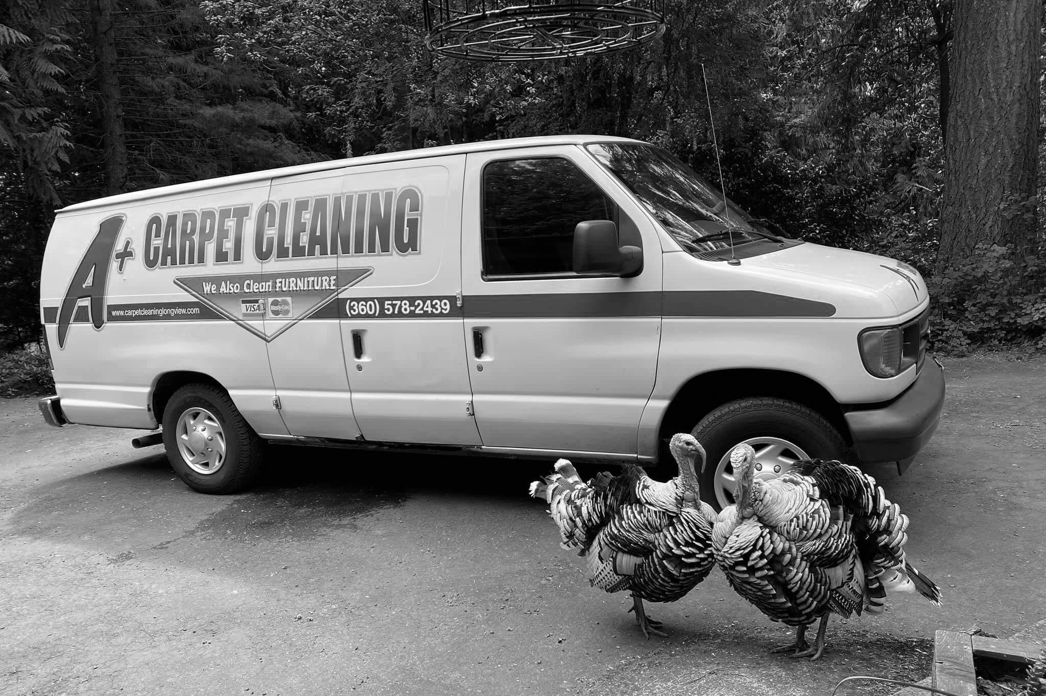 Carpet Cleaning Company in Longview