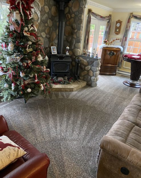 One Stop Carpet Cleaning Company